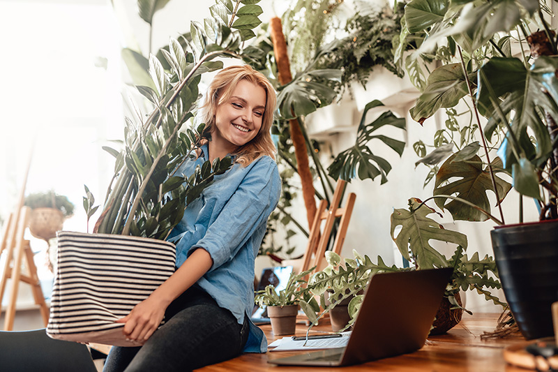 取り立てを即日にストップした解決事例